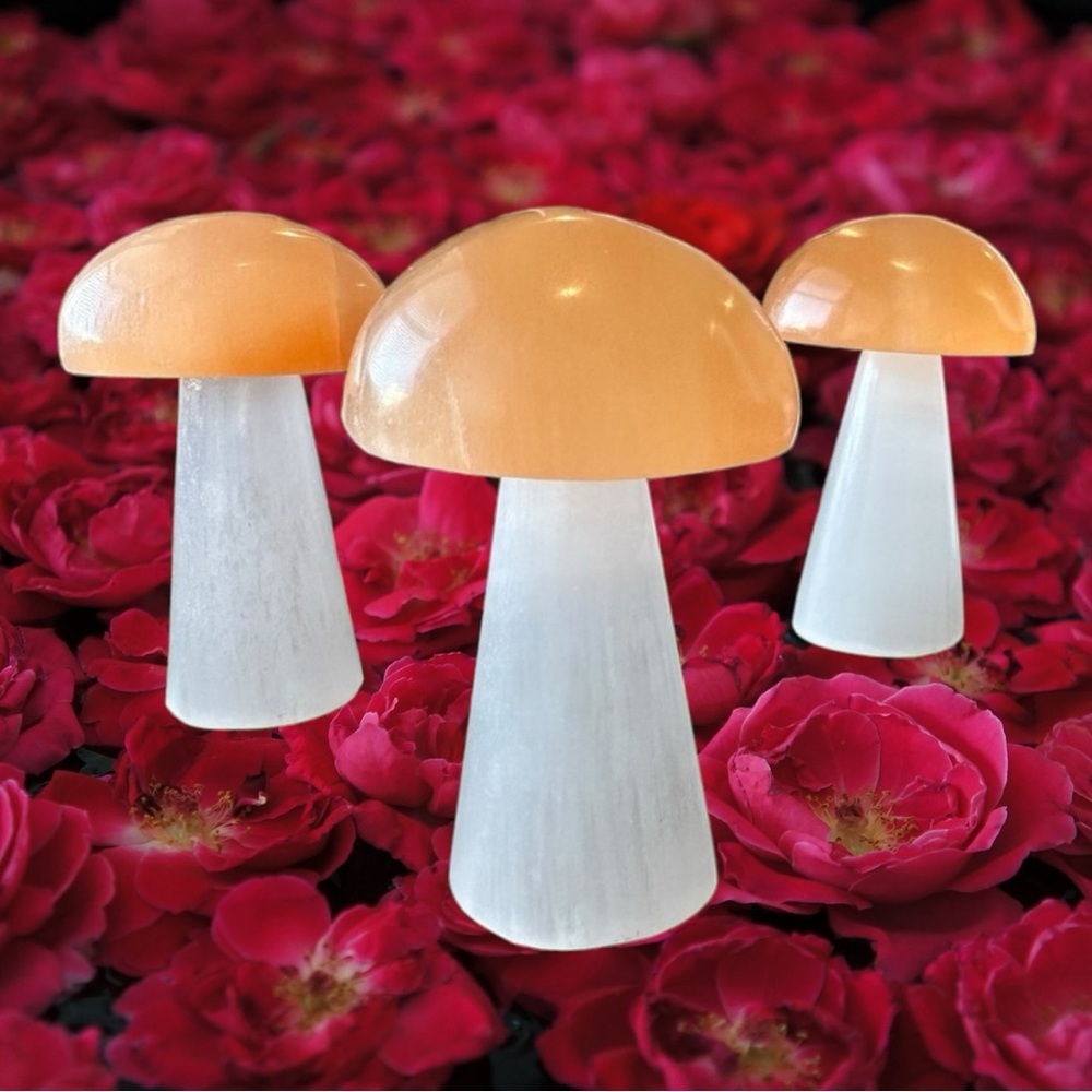 🍄 Selenite Mushrooms 🍄